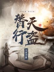 替天行盗封面